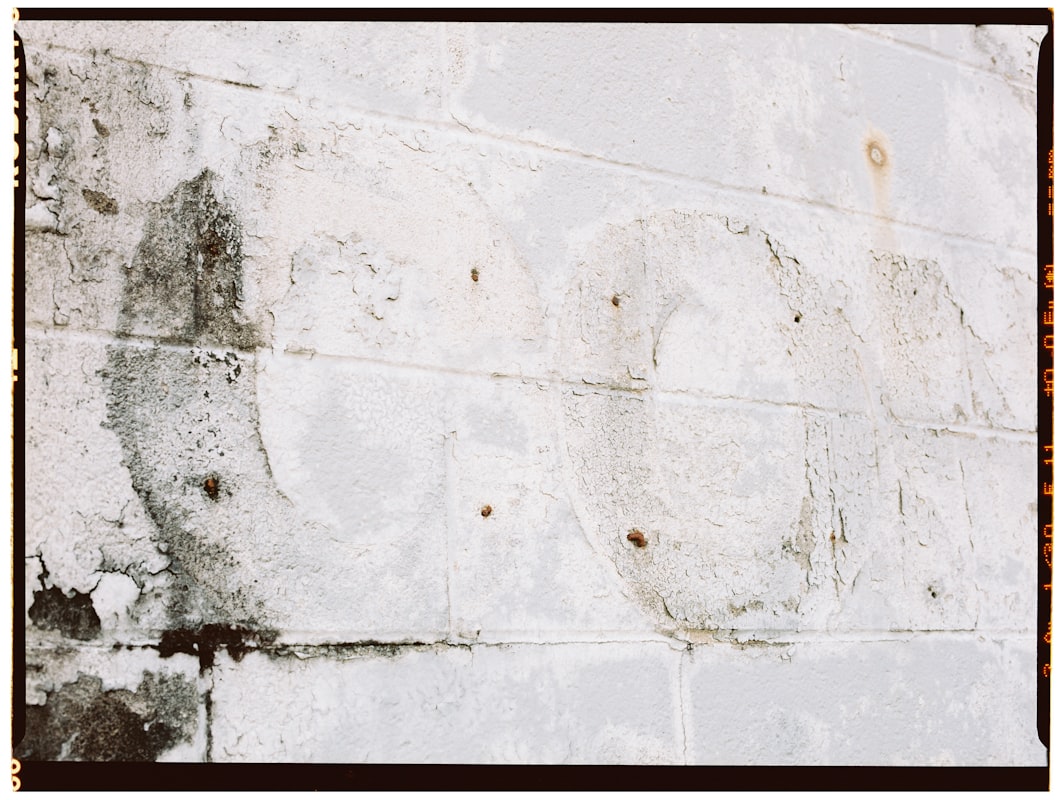 Water Extraction service in Philadelphia, PA